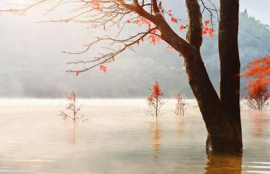 待到红杉红时一起去台州 这6个地方即将美成仙