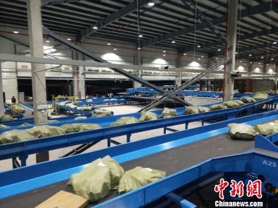 快递正通过机械化传送带进行分拣 义乌市邮管局提供