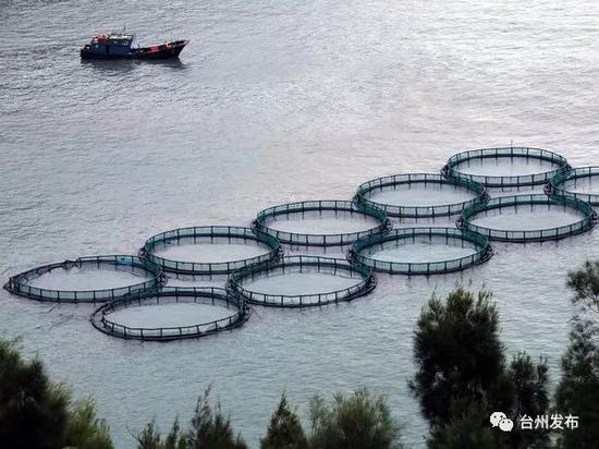 台州大陈岛新时代的垦荒人:接过接力棒 为使命