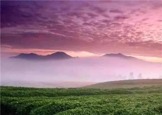 吃茶、登高、品禅意 绍兴新昌值得一去美景美