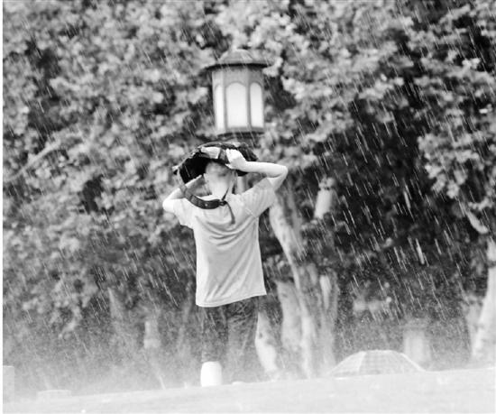 昨天午后,西湖边突降短时暴雨。里尔 摄