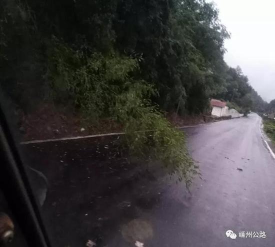 受台风影响嵊州公路上出现20多处险情