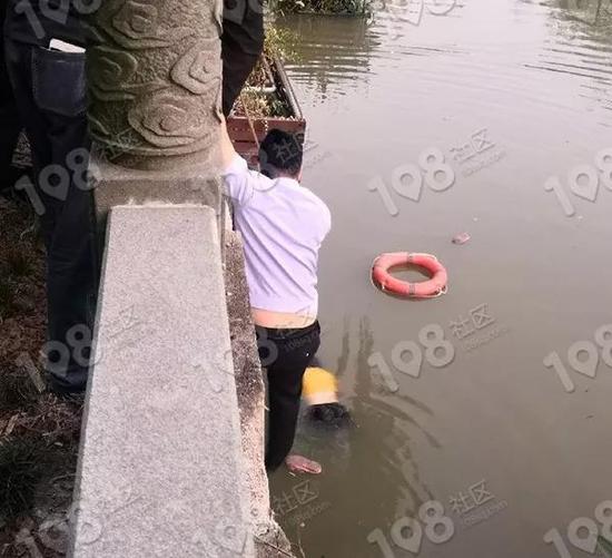 ▲图片由网友拍摄