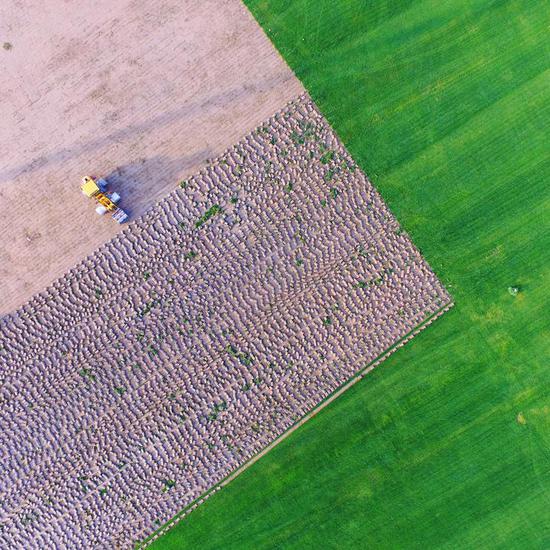 上虞外五甲村五星达标 争做幸福村