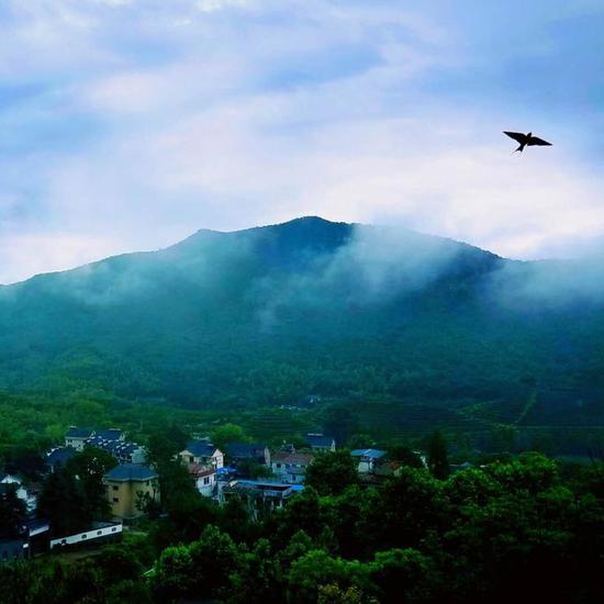 《雨后鹿田》 一犁春雨 摄于 金华北山