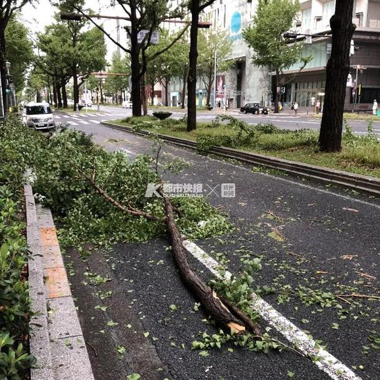 杭州游客亲历日本25年最强台风 大阪机场淹成