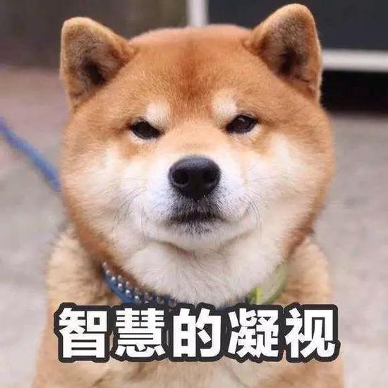 多地出台养狗管理整治