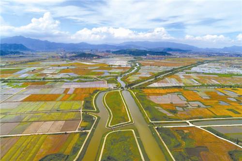 瑞安曹村多少人口_瑞安曹村天井垟风景区