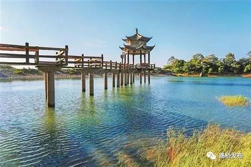 路桥峰江的进阶之路:注入产业能量 振兴乡村文