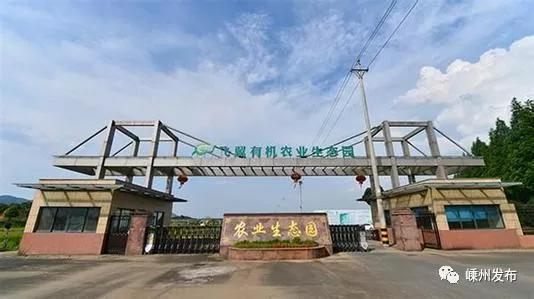 嵊州高铁助推乡村经济 村美民富幸福来