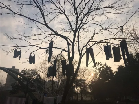 不过这幸福真的很短暂……