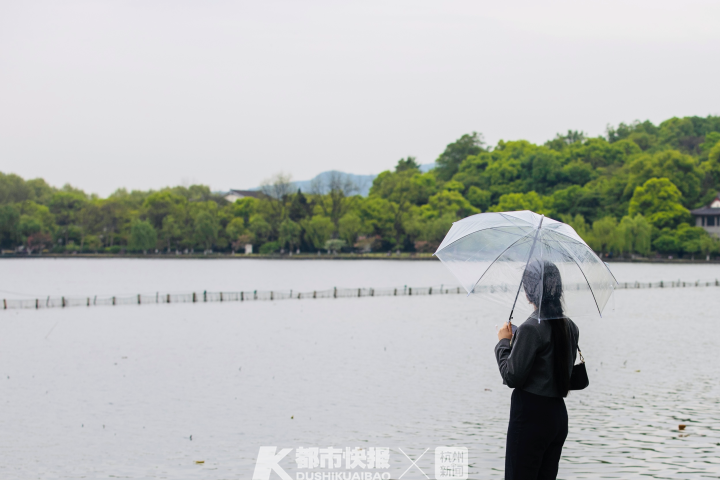 记者 夏阳 摄