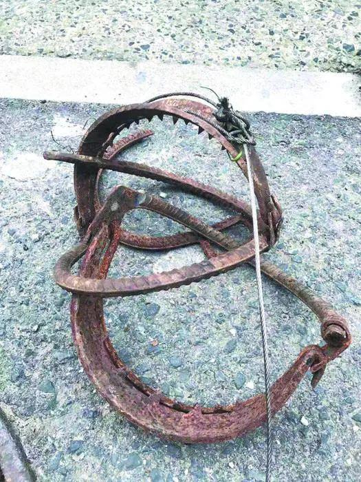 杭州女孩去西湖景区老和山游玩 一脚下去踩中捕兽夹