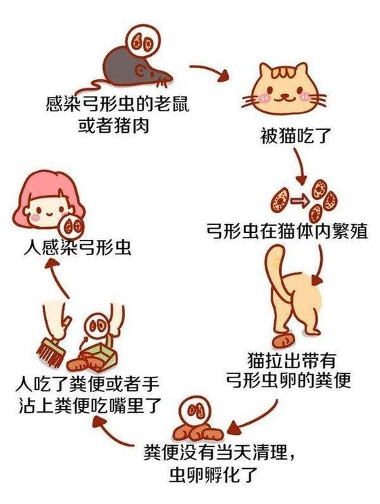 图片来源于网络