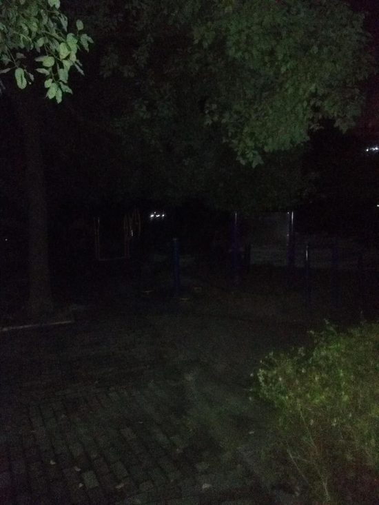樱花公园点亮前