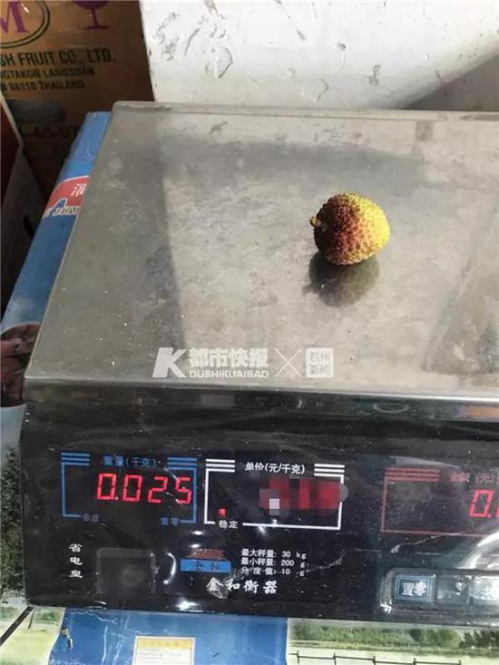 王晨 摄