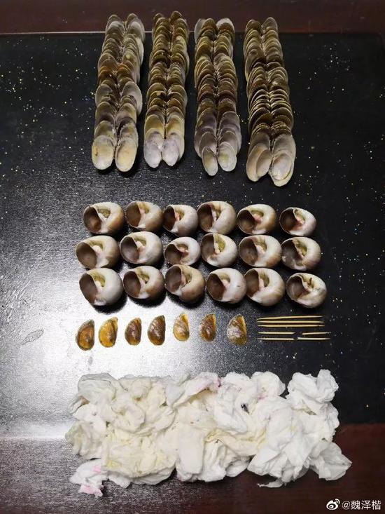 仿佛是什么垃圾运动会的开幕式
