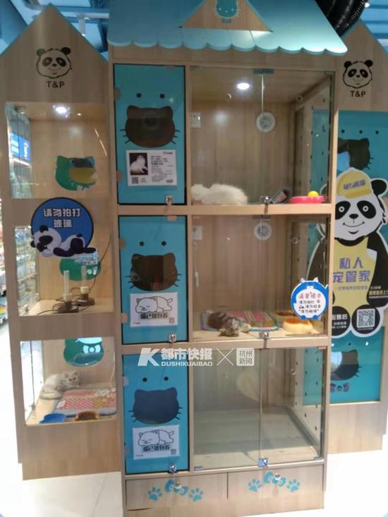 开进了滨江宝龙城的宠物店 摄影 | 楼金靖