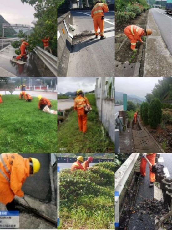 黄衢南、龙丽高速公路路域环境整治进行中