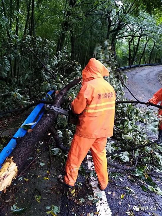 受台风影响嵊州公路上出现20多处险情