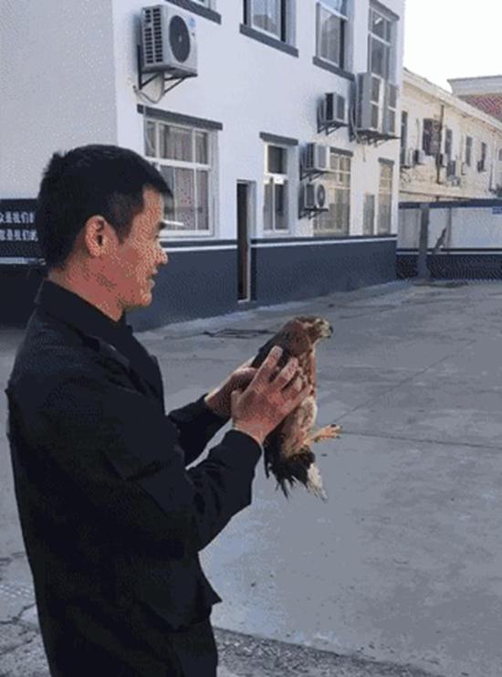 试飞过程中,民警发现其受伤无法飞翔