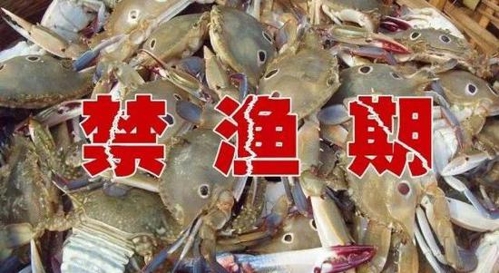 东海将全面进入休渔禁渔期 舟山新鲜渔货涨价
