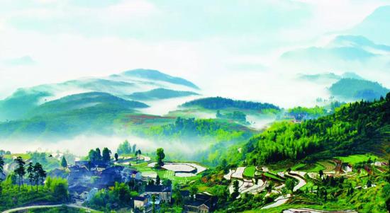 绿色发展乡村振兴 仙居经验带来美丽变化