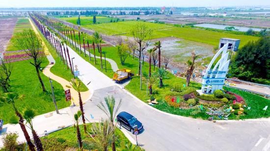 大陈岛镇有多少人口(3)