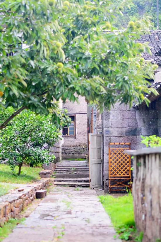 大力发展农村经济 促进农民增收致富