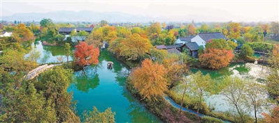 西溪湿地