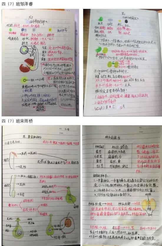 分享到    一位科学老师说,六年级同学们所做的这些笔记,可以称得上是