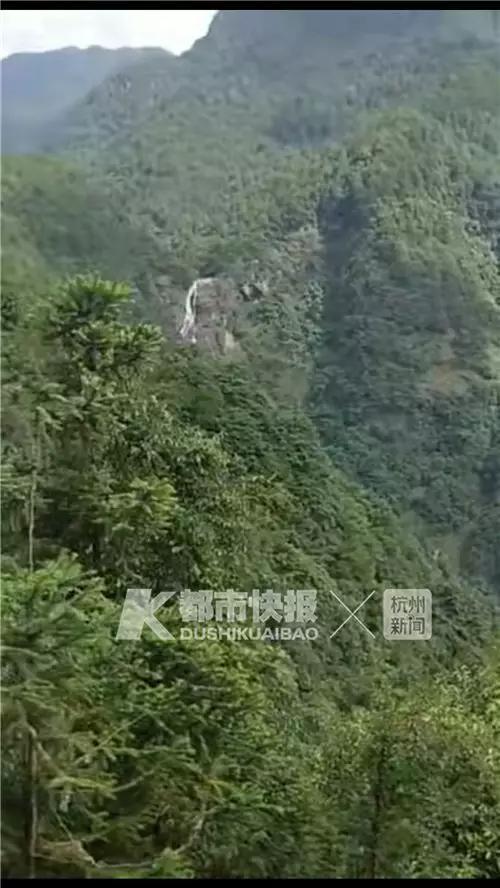 派出无人机侦察,因为树林遮挡视线,无法找到目标。