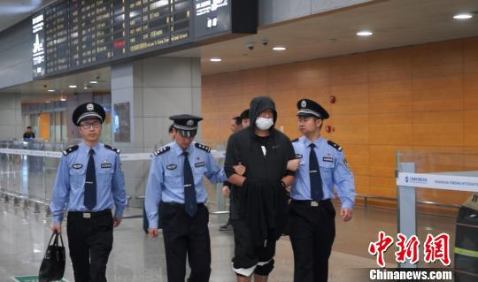 嫌疑人被缉捕回国。警方供图