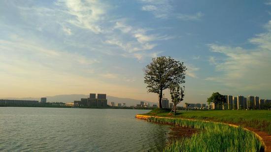 春元 摄于湖海塘