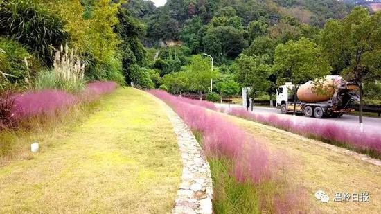 温岭市有多少人口(3)