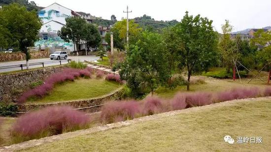 温岭市有多少人口(3)