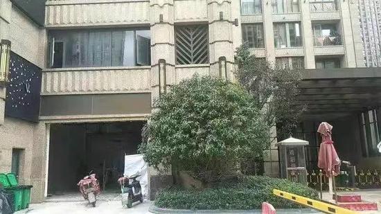 树未砍前的样子