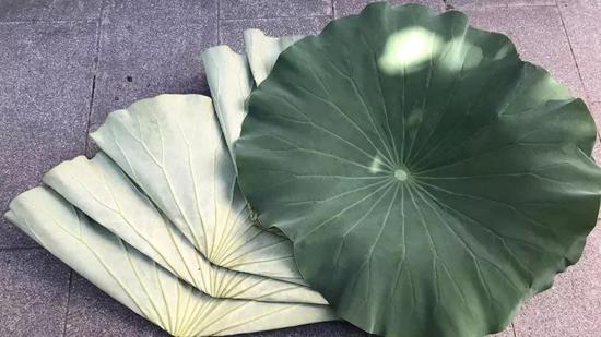 鲜嫩的莲蓬剥开来就能立即享受这份夏日清甜,