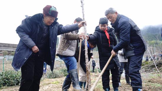 延续38年的“植树拜年” 程磊 摄