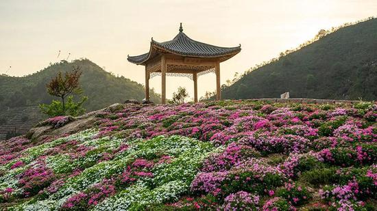 雁楠逸园
