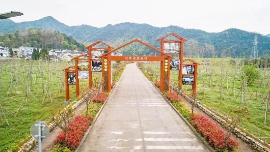 S325省道台州黄岩段风光 王敏智 摄
