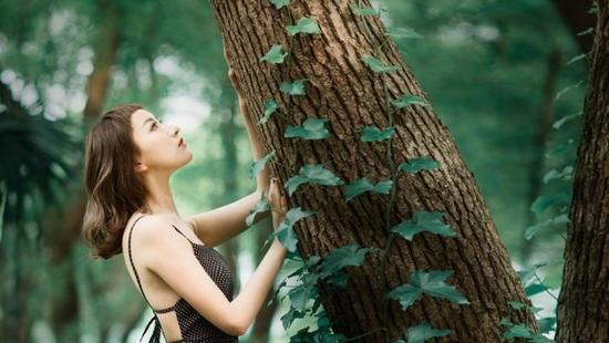 《人与森林》蟋蟀摄