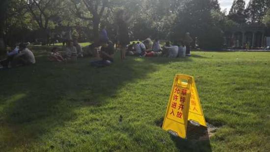 (上图:太阳太大了,西湖南线大草坪的树荫最受欢迎啦!大家看到“草坪开放、允许进入”的温馨提示牌,就可以进入这片草坪区域休憩。不过如果遇下雨等天气状况,大草坪将停止开放。大家在与草坪亲密接触的同时,请给予它一些细小的爱护,不要穿高跟鞋进入草坪,不随地乱丢垃圾,做一个文明有礼的游客。江志清 摄)
