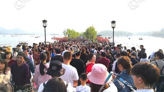图自19楼“独一无二CJ”