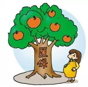 绍兴将实施全市统一的基本医疗保险制度