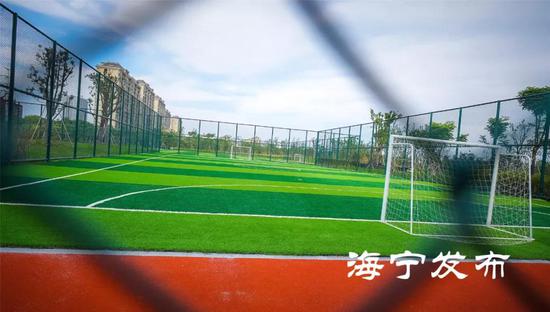 浙江哪里有足球场吗,浙江专业足球场