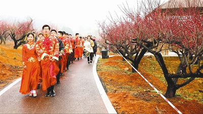梅园中的集体婚礼