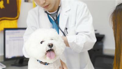 记者 任彦