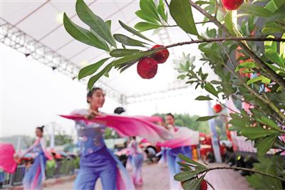 2018年瑞安市旅游节暨第15届高楼杨梅文化节昨天举行,游客们或观赏歌舞表演,或参加“吃杨梅比赛”,共享“梅”好时光。苏巧将摄