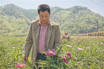 驻淳安记者 程海波